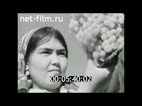 1980г. совхоз Фахробод Курган- Тюбинская обл Таджикистан