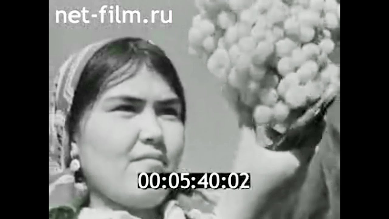 Куйбышев таджикистан. 1980г Фахрабад.