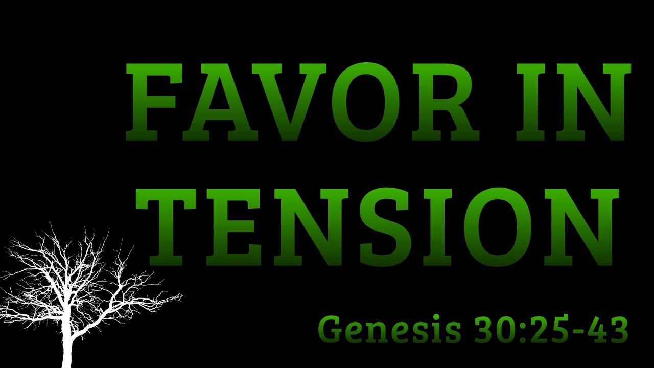Genesis 30 25 43 Meaning Genesis 30 25 43 Meaning