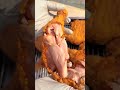 chicken crispy