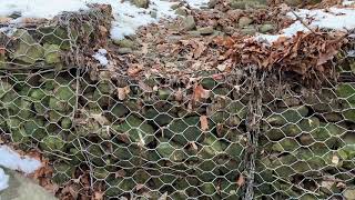 Gabion Weir in SGG (2/2)