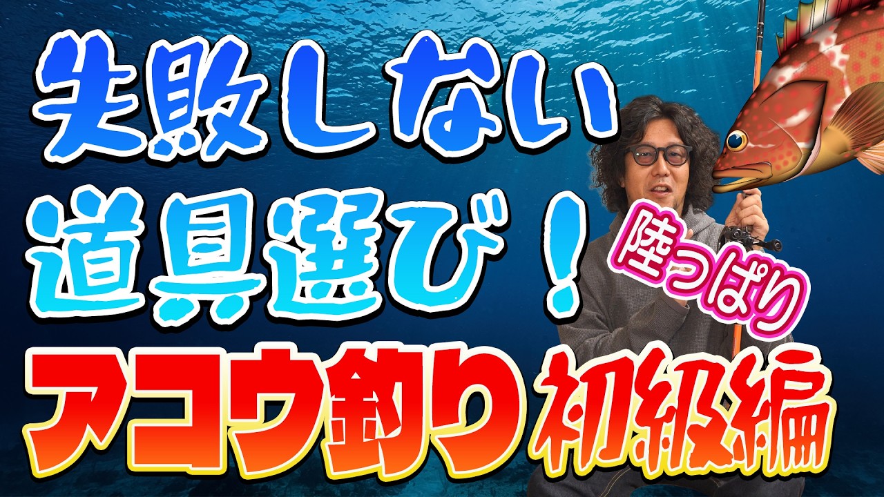さあ！始めようアコウ（キジハタ)【これさえ見れば失敗しない】初心者のための入門動画【403】