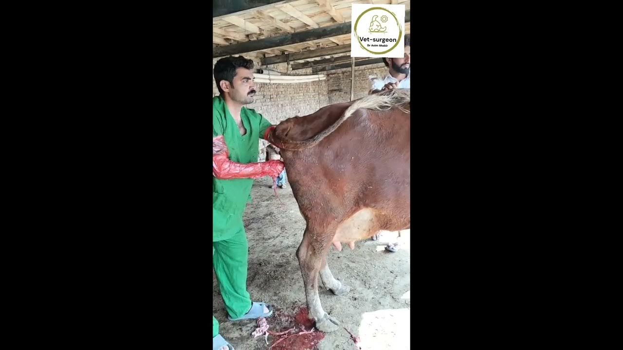 ROPManual Removal of video with