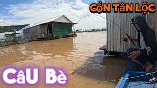 Thuê xuồng đi câu theo dàn bè ở cồn Tân Lộc, Thốt Nốt
