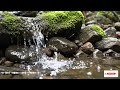 Celestial Resonance Bathing Sacred Frequencies In Timeless Waves For Deep Chakra Harmony And Restf