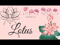 Lotus diamond fansells  magnifique 