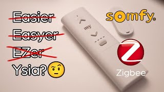 Smart Move or Total Gimmick? Somfy Zigbee Motor - Umbra Reviews