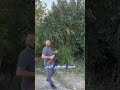 صيد عصفور التين 