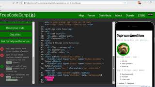 Create a Set of Checkboxes- freeCodeCamp HTML5 and CSS lesson #32