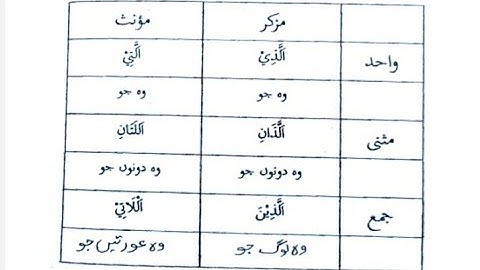 Arabic Grammer Lesson 4 Ism e Mausool اسم موصول #trending #grammer #arabic #learn #viralvideo #anie