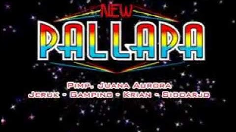 New palapa - suket teki