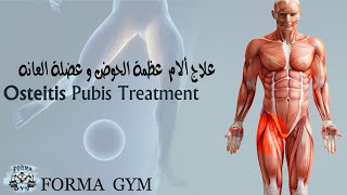 علاج عظمة الحوض وعضلة العانه Osteitis Pubis Treatment