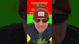 Cannabrosoutfit Presentation