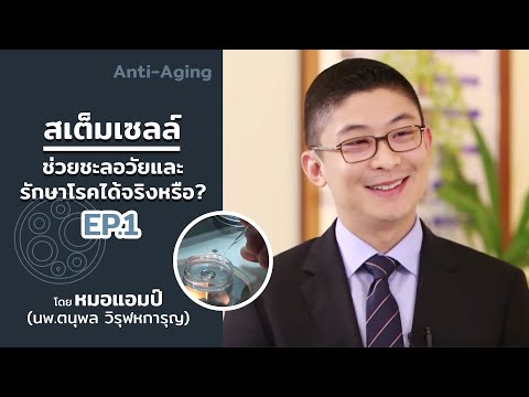 Stem Cell สเต็มเซลล์ช่วยชะลอวัยและรักษาโรคได้จริงหรือไม่? ตอนที่1