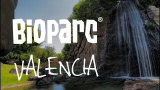 Bioparc Zoo (Valencia) 2022