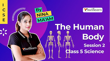 The Human Body | Human Skeletal System | ICSE Class 5 Science | Session 2 - Swiflearn