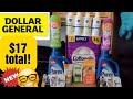 Dollar General Saturday! $5/$25! 2 Breakdowns! $17 for everything!