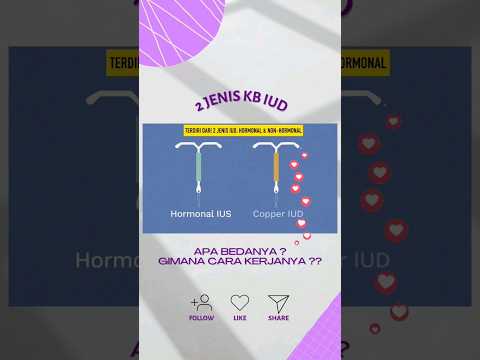 Video: Jenis fusi apa yang terjadi di Nova?