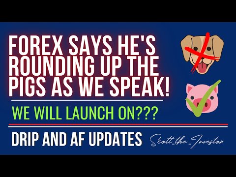 Forex Makes An Announcement – This Is When The Pigs Will Go Live On The Animal Farm