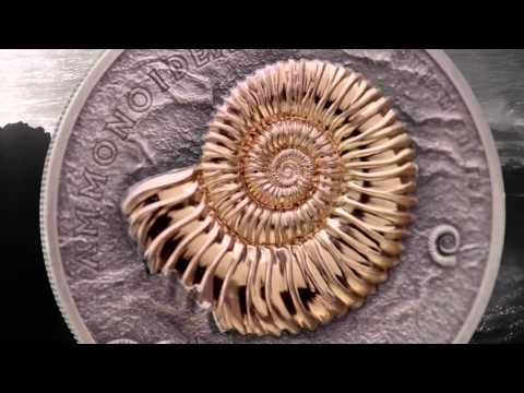 Video: Merită bani fosilele de amoniți?