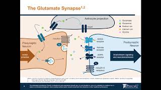 What Is The Role That  Glutamate Plays In Mood Disorders & Schizophrenia?