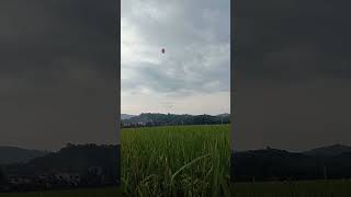 Download Lagu #dj #remix #cover #music #djremix #viral #layangan #viralvideo #shortvideo #shorts #trending #kite#1 MP3