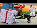 وصلني اكبر هديه للكلاب مفاجأ غير متوقعه رد فعل كلابي صدمني