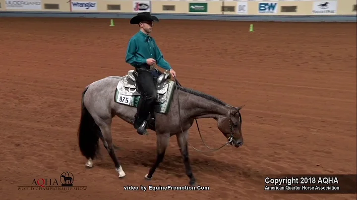 2018 AQHA Junior Western Riding