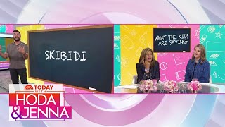 What do 'skibidi' and 'GigaChad' mean? TikTok teacher weighs in