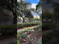 🥀 SP 🌹 #shortviral #turistandoemsp #turismo #sp #shortshorts #shortviral #shorts #shortvideo #mg