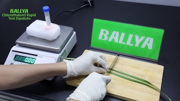 BALLYA Chlorothalonil Test - Detection of Chlorothalonil in Chives - BALLYA