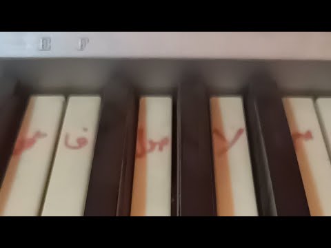 احتفالات عيد ميلاد اخى ابن مصر بصحبة اخى مهند اهلا بالجميع