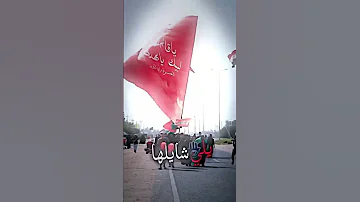 ماباقي شي ستوريات حسينيه زيارة الامام الحسين اللهم عجل لوليك الفرج اشهد ان علي ولي الله لايك 