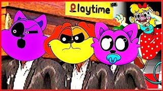 Daily Life of Baby CatNap - Poppy Playtime 3 | Coffin Dance Meme Song (Cover)