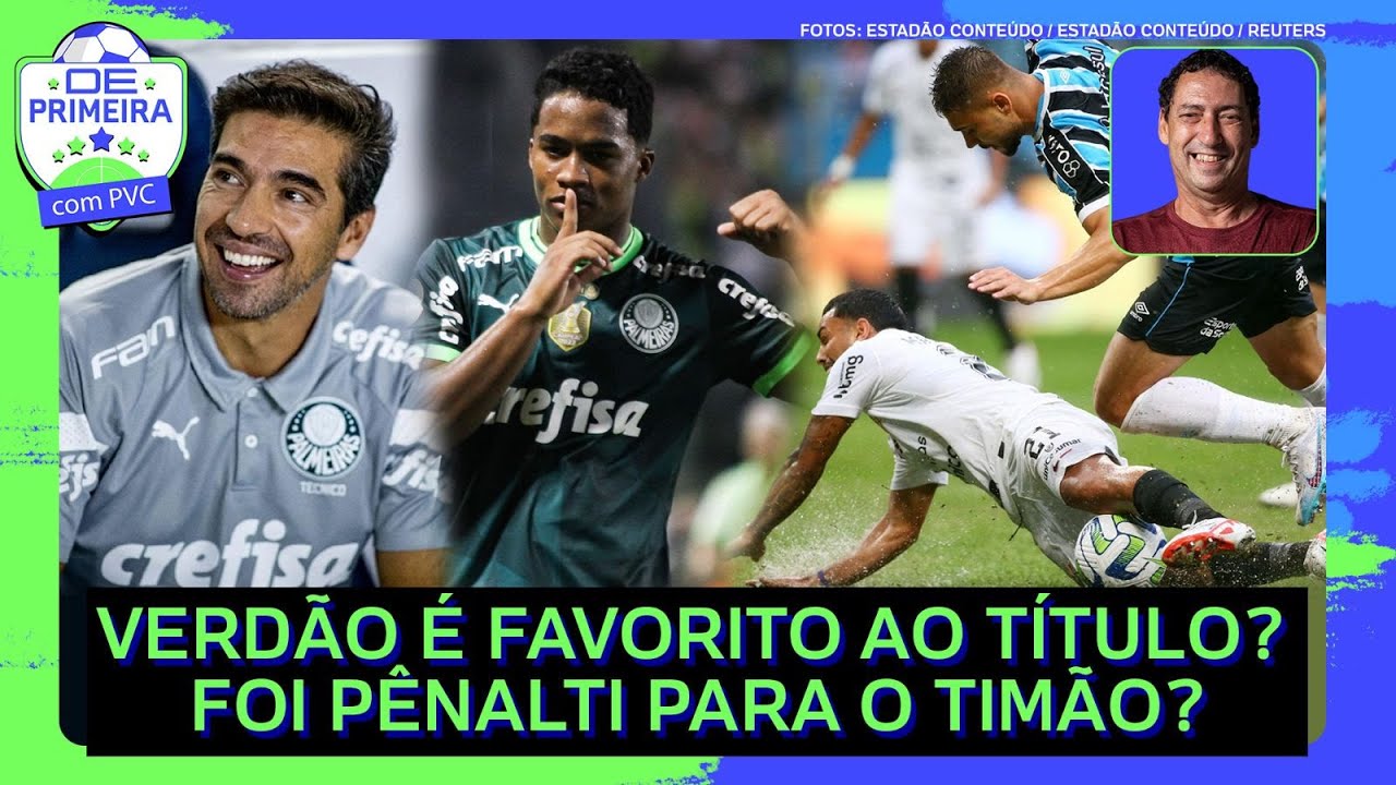 Fla-Flu é atração da rodada. Palmeiras tenta ampliar liderança contra o  Santos. Informações, análises e palpites do PVC, blog do pvc