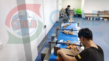 Bread Packing Machine With Full Automatic Order Pacing Machine Line