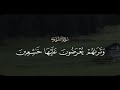 وترىهم يعرضون عليها خاشعين من الذل ينظرون من طرف خفي محمود خليل الحصري   