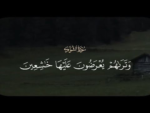 وترىهم يعرضون عليها خاشعين من الذل ينظرون من طرف خفي محمود خليل الحصري   