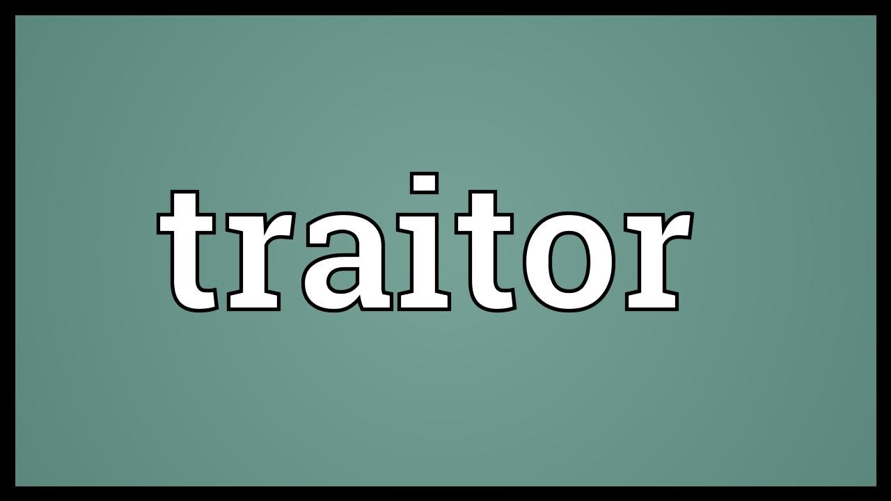 Traitor  Meaning of traitor 