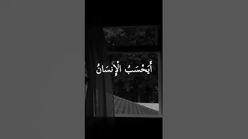 سورة القيامة #الشيخ_سيد_سعيد