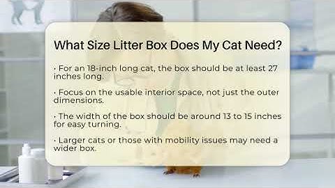 What Size Litter Box Does My Cat Need? - Ask A Pet Vet