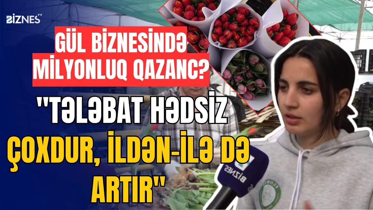Zanbaq güllərinin topdan və pərakəndə satışı necə aparılır?