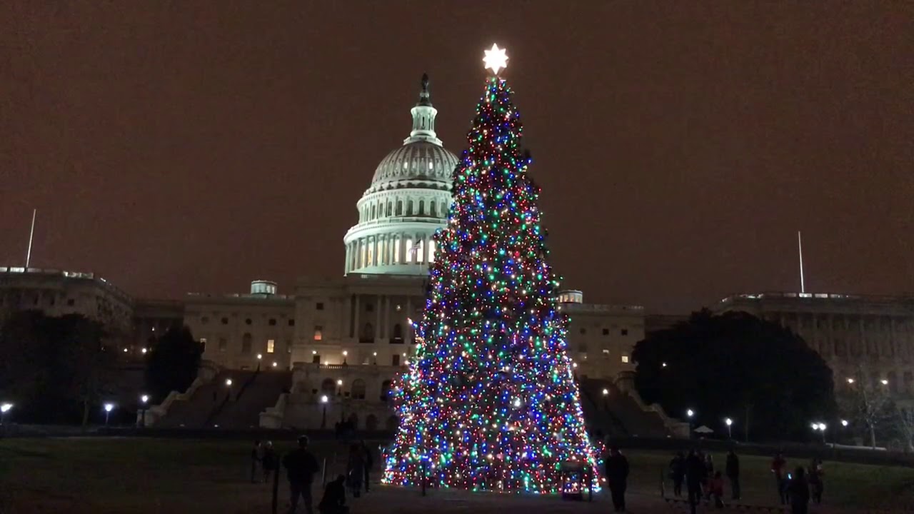 National Capitol Christmas Tree 2017 Washington DC. YouTube