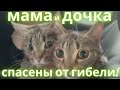 Целый день маме и дочке искали дом в Москве