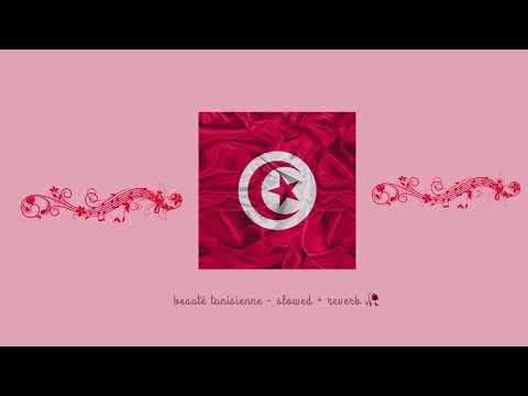 Dj Kayz Feat Souf Beauté Tunisienne Slowed Reverb