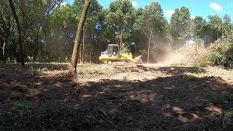Doing some brush and tree clearing with the 953C for a new house!!