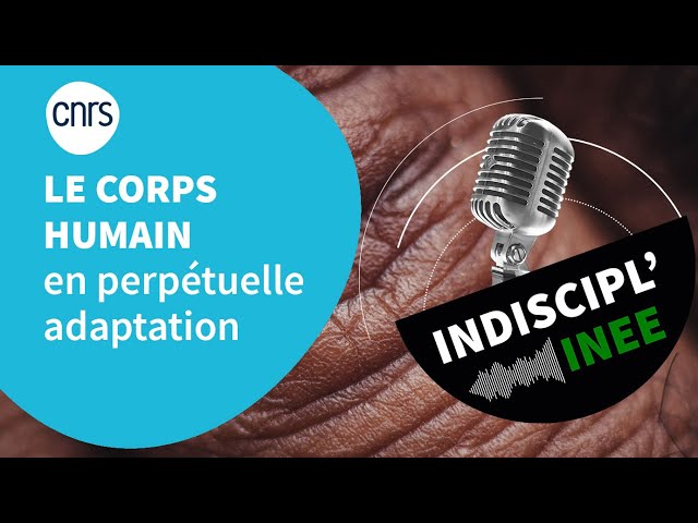 PODCAST - Le corps humain en perpétuelle adaptation - Indiscipl'INEE -  YouTube