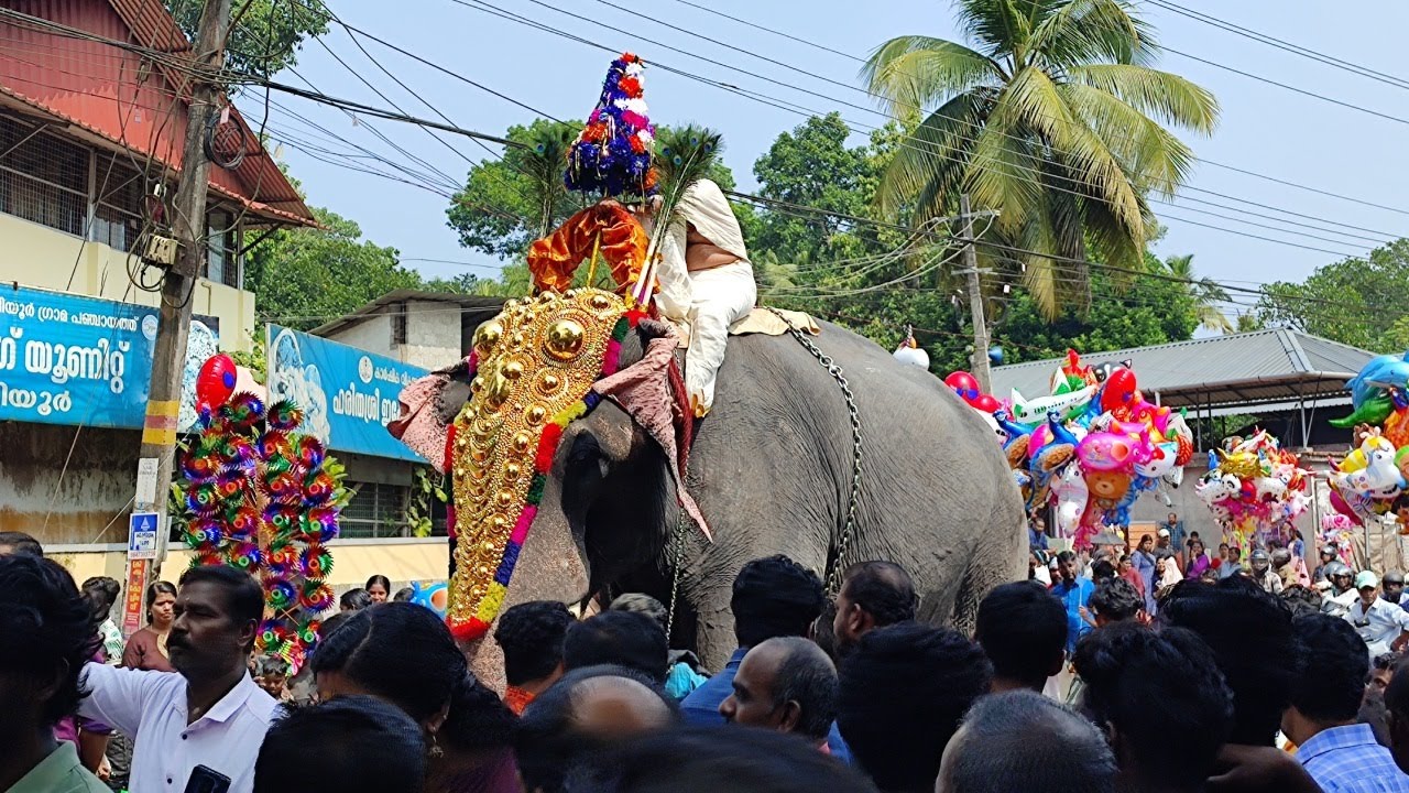 പുലിയൂർ കാവടിയാട്ടം | Puliyoor Kavadiyattam 2024