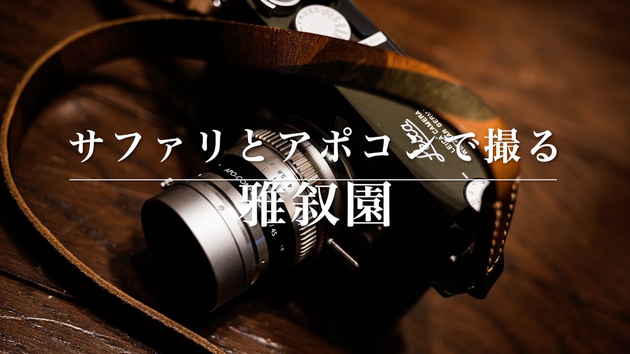 Leica M11 Safari & APO-Componon 45mm F4 Cool photo walk at Gajoen