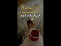 Allah Ka Farman | Quran Ki Naseehat Jo Zindagi Badal De | Islamic Bay #allah #islamicreminder